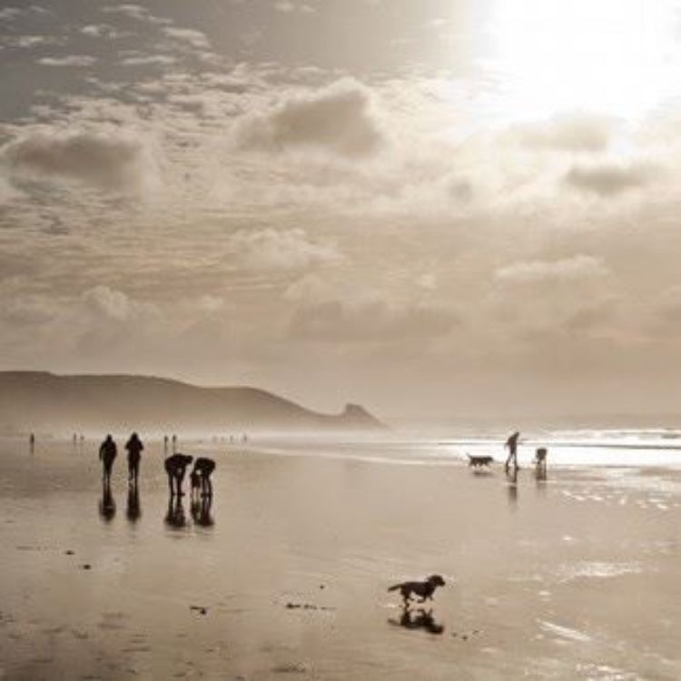 Picture of A Walk on Newgale