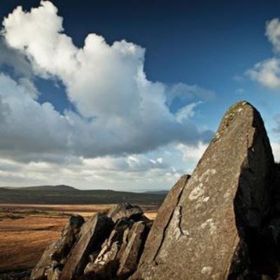 Show details for Bluestones on the Preseli Hills Picture of Bluestones on the Preseli Hills