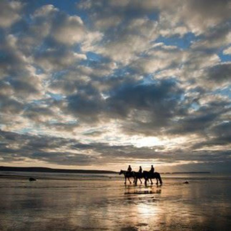 Picture of Horses on Druidstone Beach