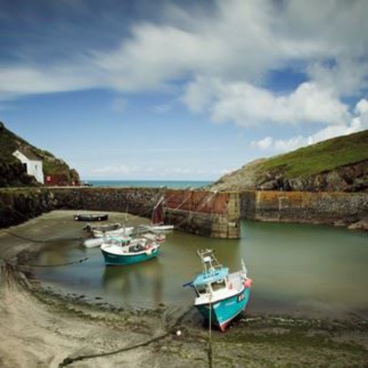 Picture of Porthgain Harbour