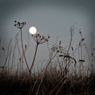 Show details for September Supermoon Picture of September Supermoon