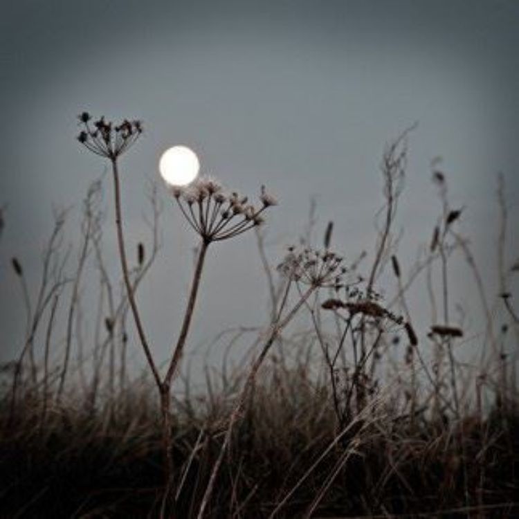 Picture of September Supermoon