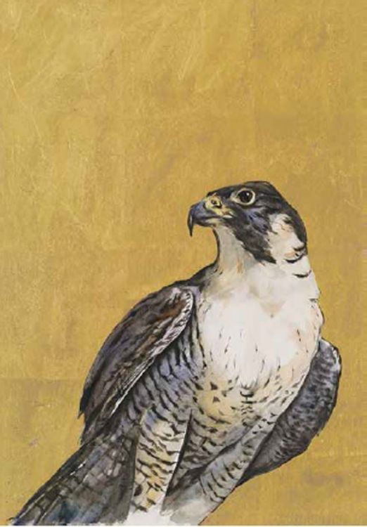 Picture of Queen of the Sky (compact)