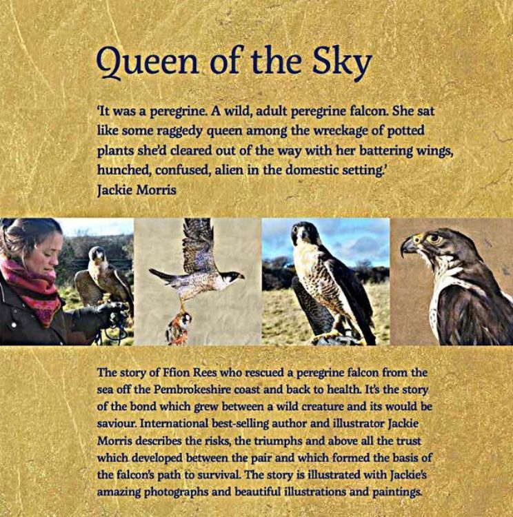 Picture of Queen of the Sky (compact)