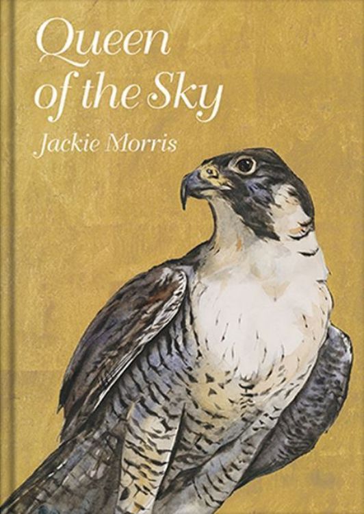 Picture of Queen of the Sky (compact)