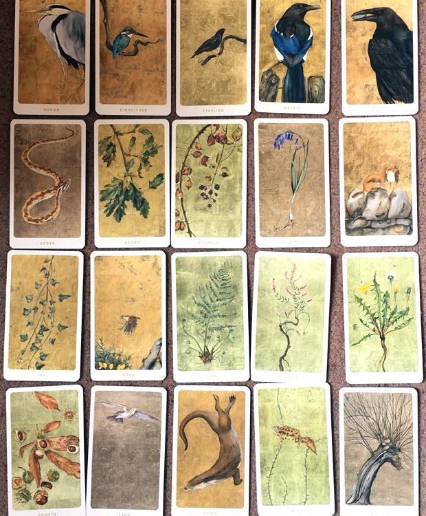 Picture of The Lost Words Card Game