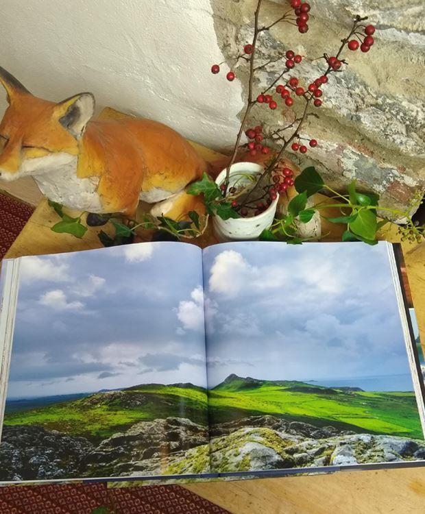 Picture of St Davids Peninsula Coffee Table Book