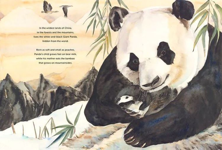 Picture of Something about a Bear (2022)