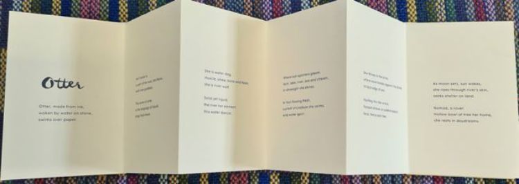 Picture of Otter - Accordian Book No. 2