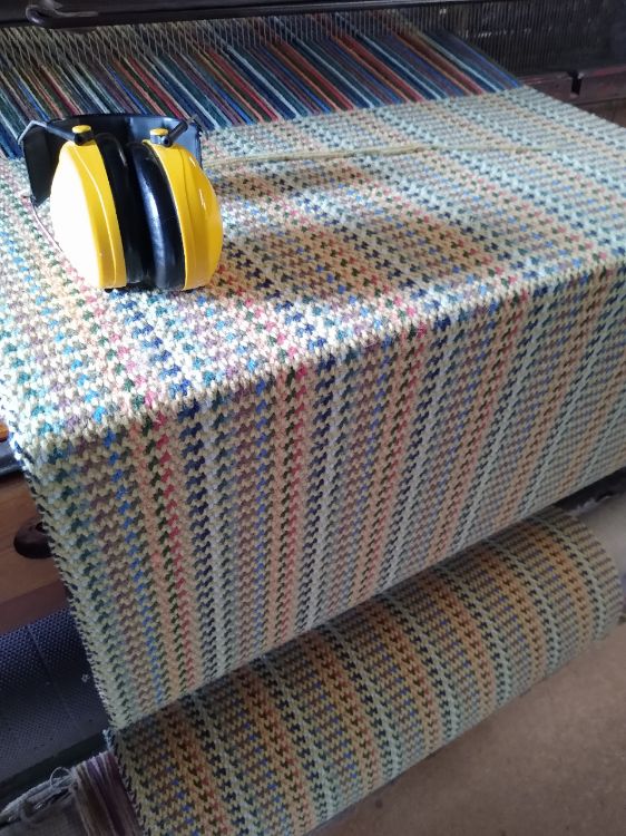 Picture of Spring Stripe (242)