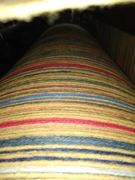 Picture of Spring Stripe (242)