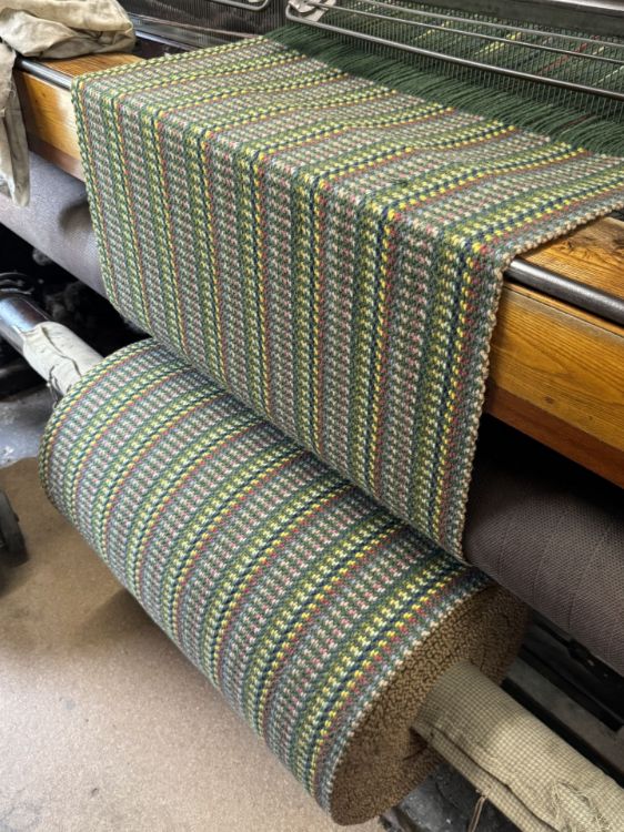 Picture of Green Spring Stripe (243)