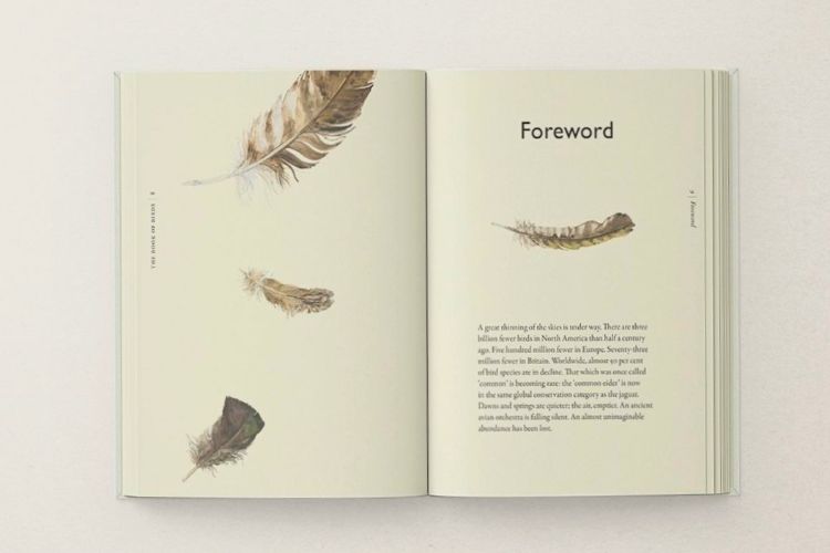 Picture of The Book of Birds (Pre Order)