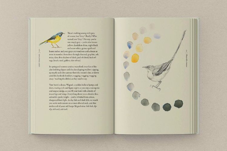 Picture of The Book of Birds (Pre Order)