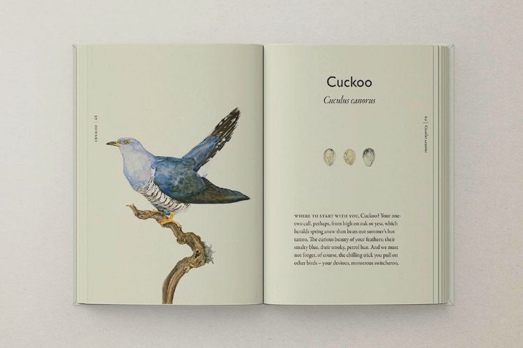 Picture of The Book of Birds (Pre Order)