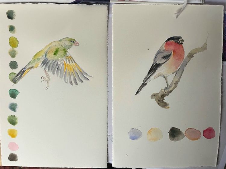 Picture of The Book of Birds (Pre Order)