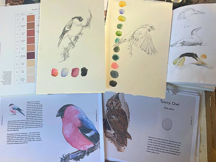 Picture of The Book of Birds (Pre Order)