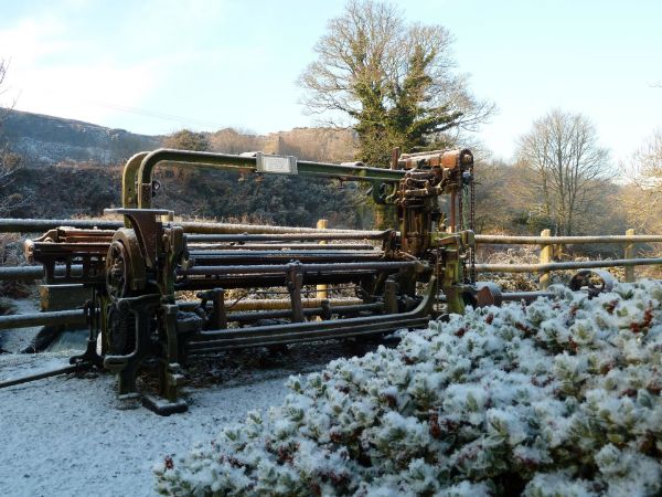 Show products in category CHRISTMAS DELIVERY PLEASE READ