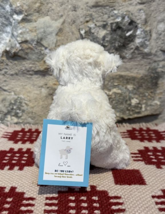Picture of Soft Lamb Toy